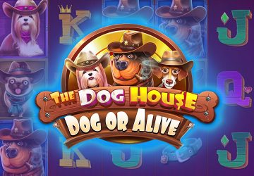 Playtech - игровой автомат онлайн от Various с RTP 96.96%